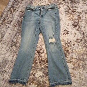 Judy Blue Light Blue Jeans